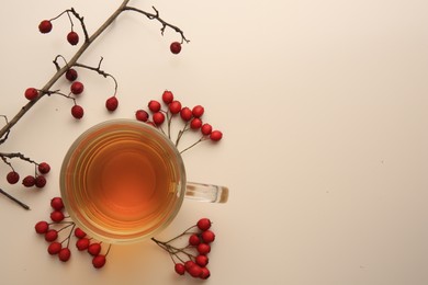 Photo of Cup with hawthorn tea and berries on beige table, top view. Space for text