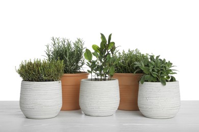 Photo of Pots with thyme, bay, sage and rosemary on table against white background