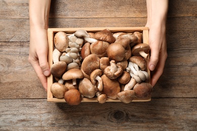 Woman holding crate full of different wild mushrooms on wooden background, top view