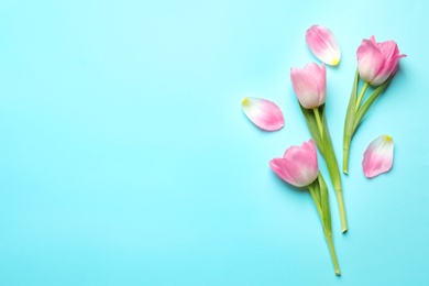 Photo of Flat lay composition of tulips on blue background, space for text. International Women's Day