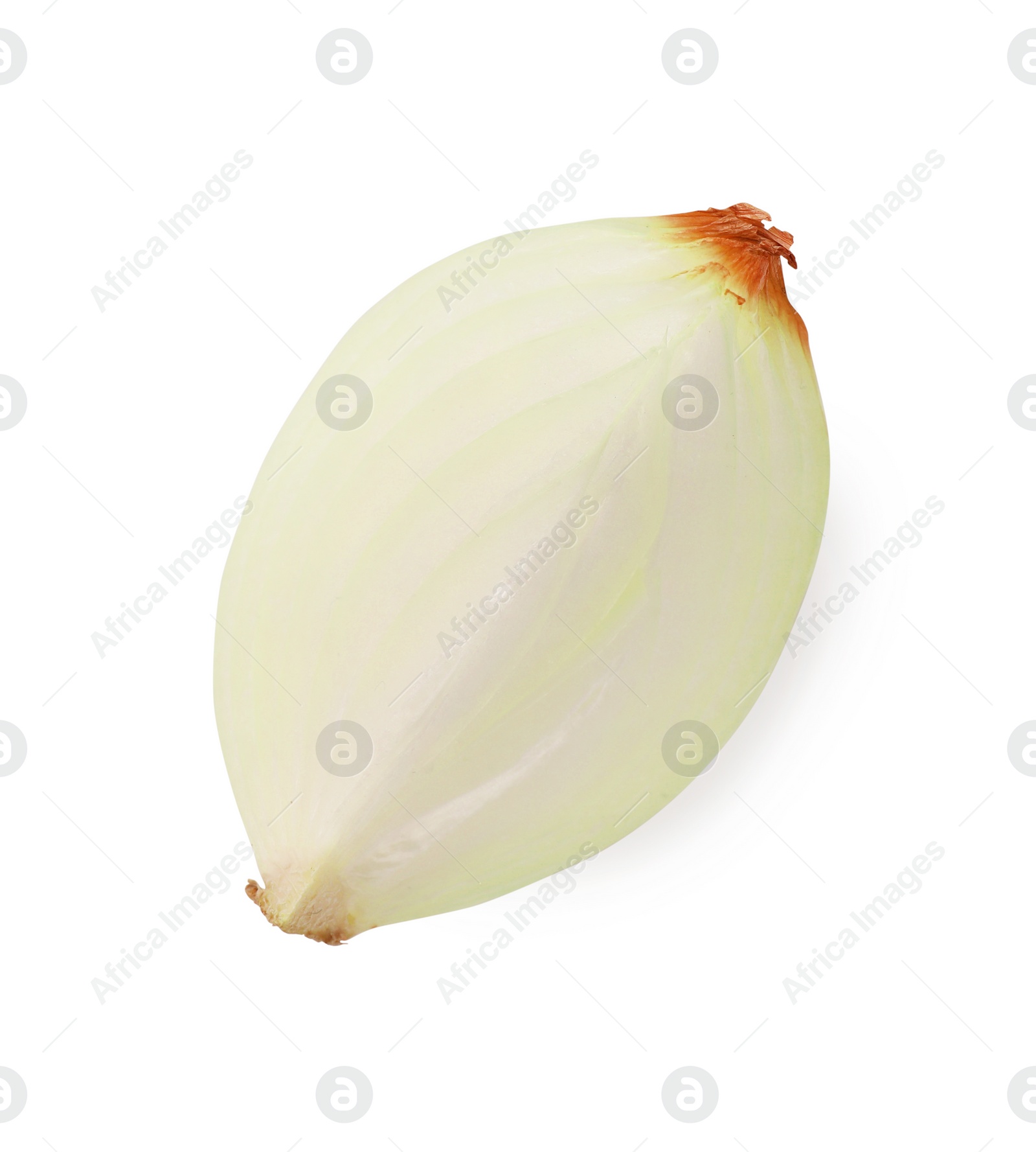 Photo of Piece of fresh onion on white background, top view
