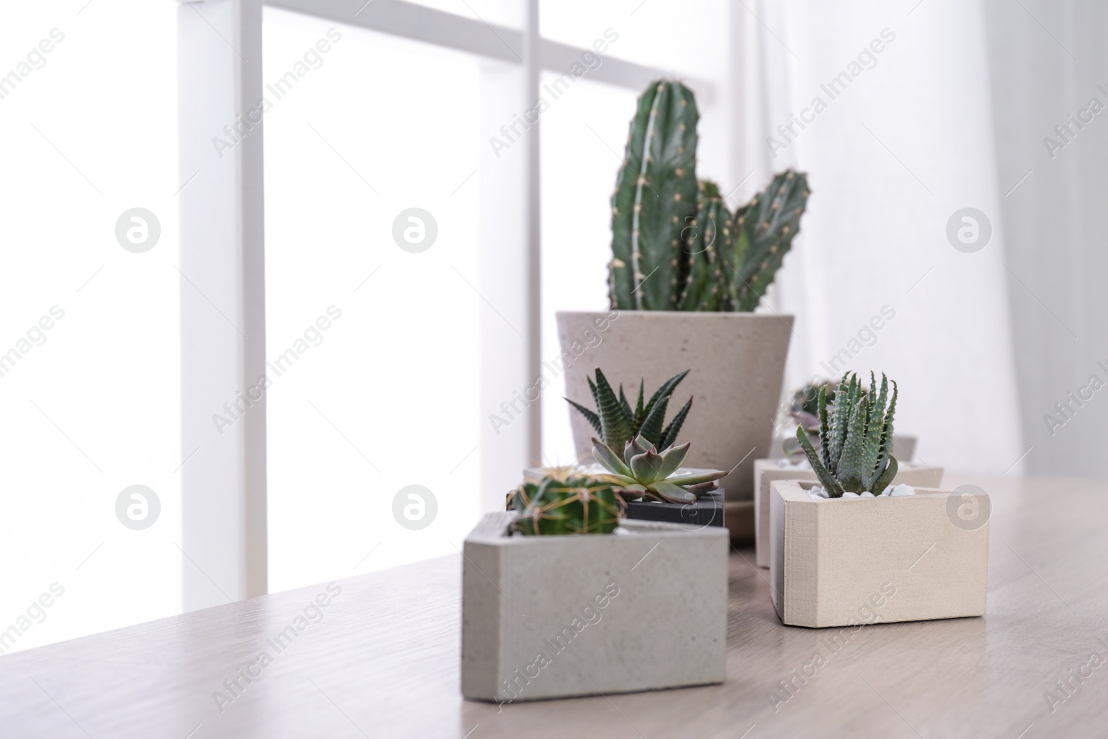 Photo of Different plants in pots on window sill, space for text. Home decor