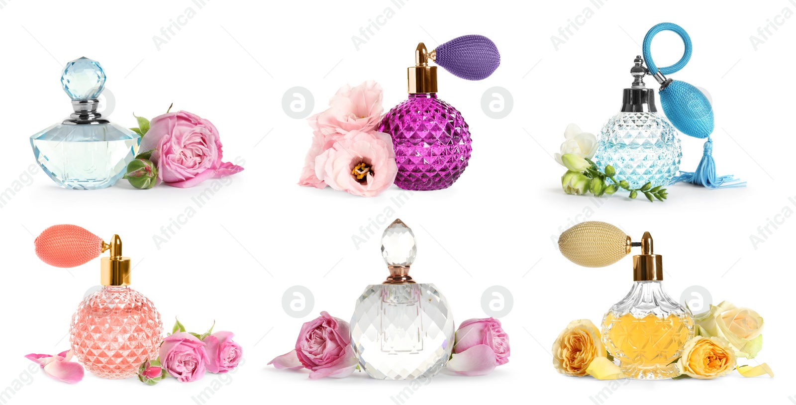 Image of Set with different bottles of perfume and flowers on white background. Banner design