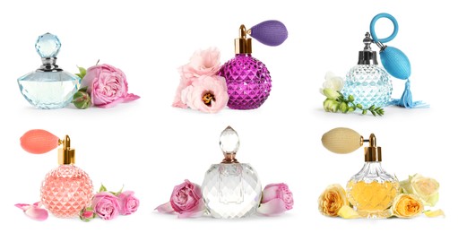 Image of Set with different bottles of perfume and flowers on white background. Banner design