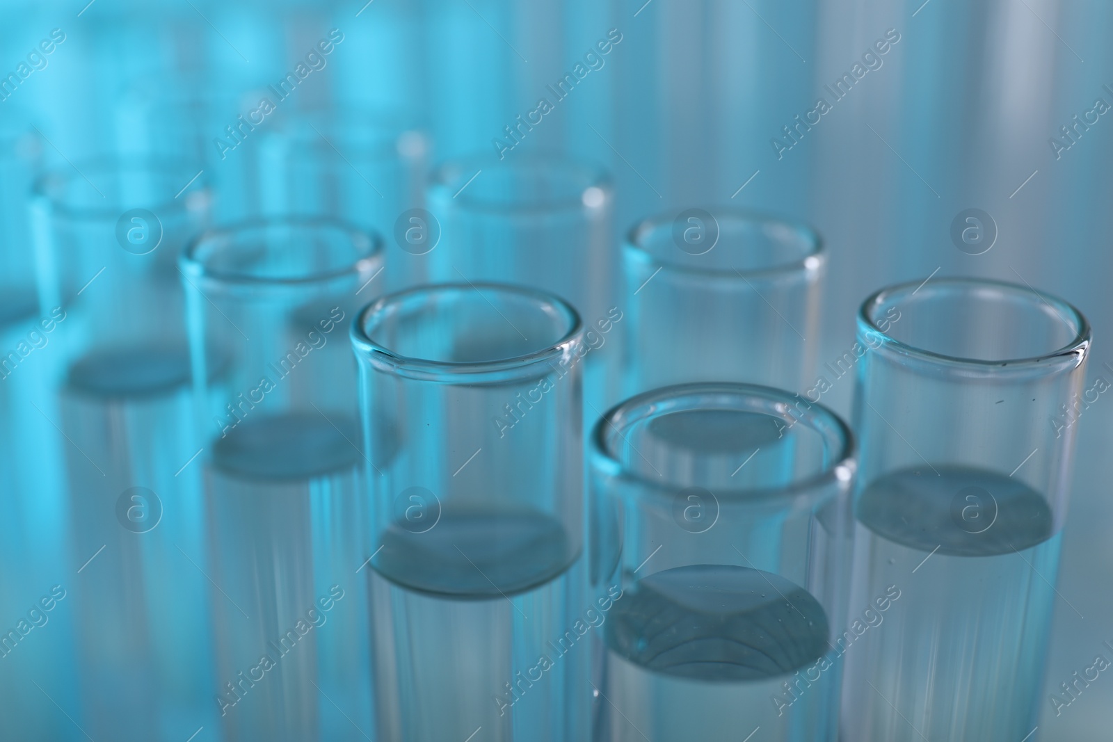 Photo of Laboratory analysis. Many glass test tubes on light blue background, closeup