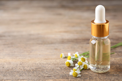 Photo of Chamomile flowers and bottle of essential oil on wooden table, space for text