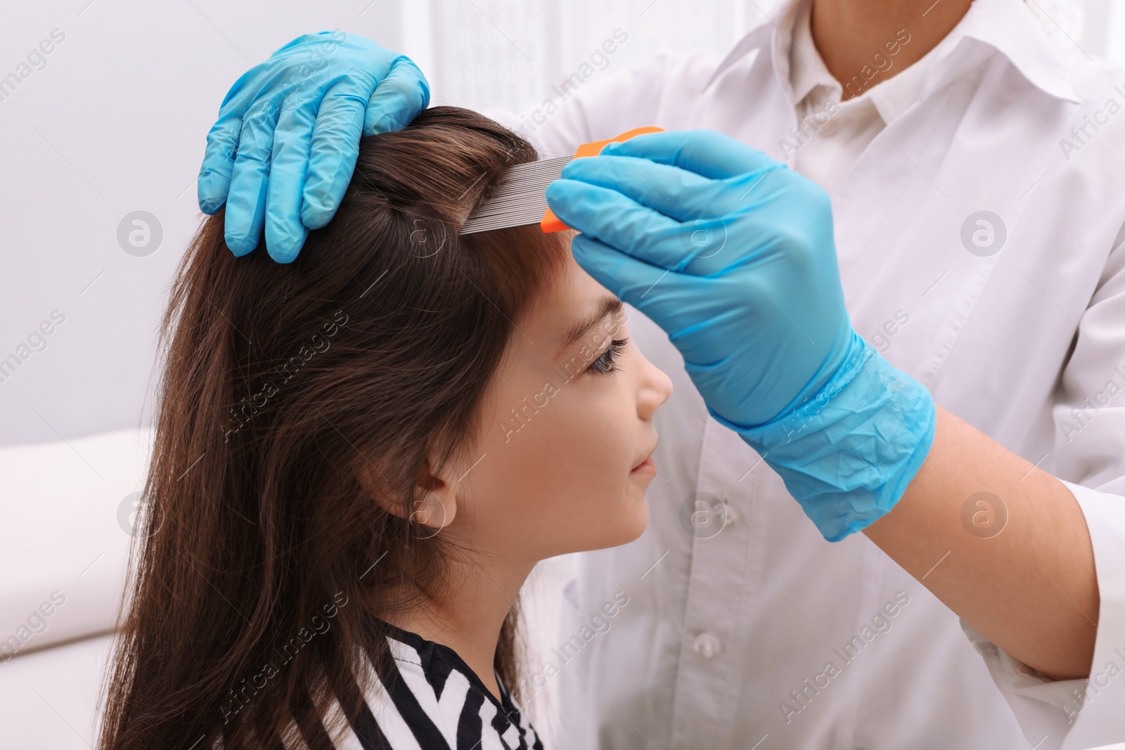 Photo of Doctor using nit comb on little girl's hair indoors. Anti lice treatment