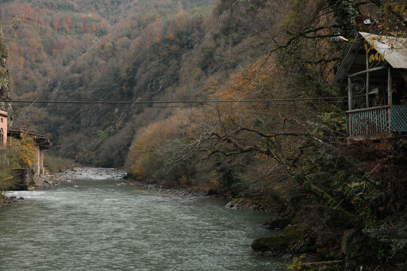 Photo of Picturesque view of beautiful river and tree house in mountains