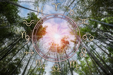 Image of Zodiac wheel and beautiful view on bamboo forest under cloudy sky