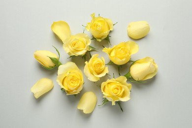 Beautiful yellow roses and petals on light grey background, flat lay