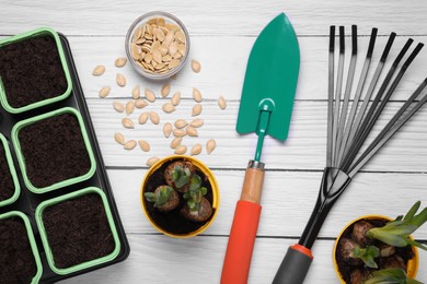 Flat lay composition with pumpkin seeds and gardening tools on white wooden table