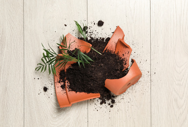 Photo of Broken terracotta flower pot with soil and plant on wooden background, flat lay