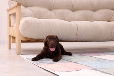 Photo of Cute chocolate Labrador Retriever puppy on rug at home. Lovely pet