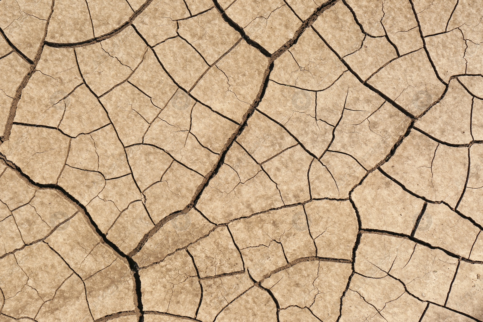 Photo of Cracked ground surface as background, top view