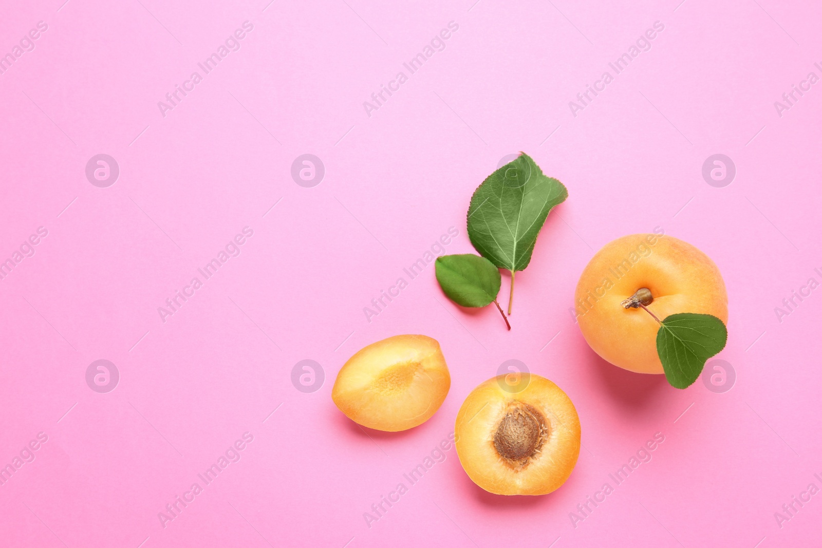 Photo of Delicious ripe sweet apricots on pink background, flat lay. Space for text