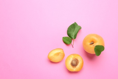 Photo of Delicious ripe sweet apricots on pink background, flat lay. Space for text