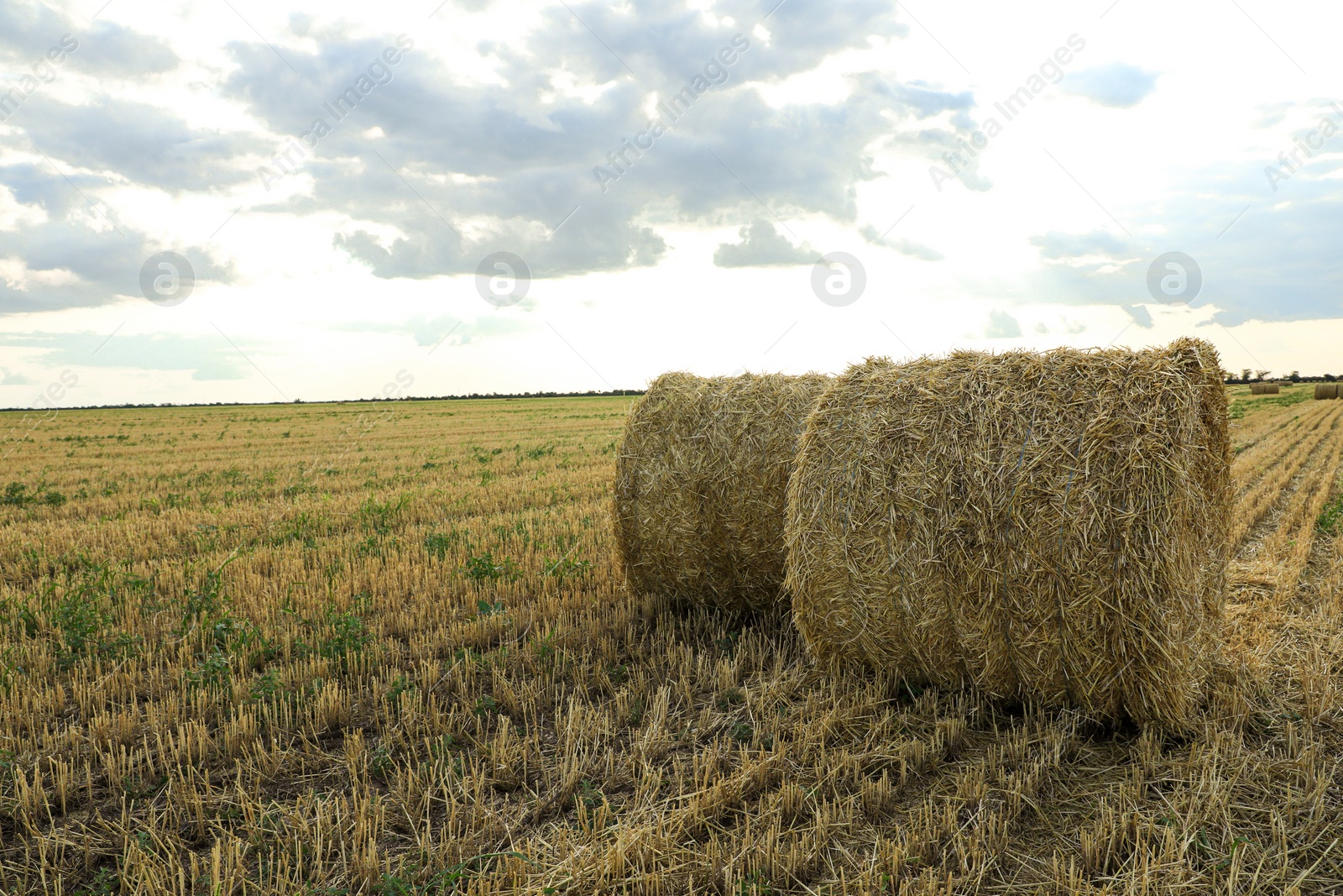 Photo of Beautiful view of agricultural field with hay bales