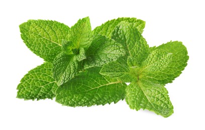 Fresh green mint leaves isolated on white