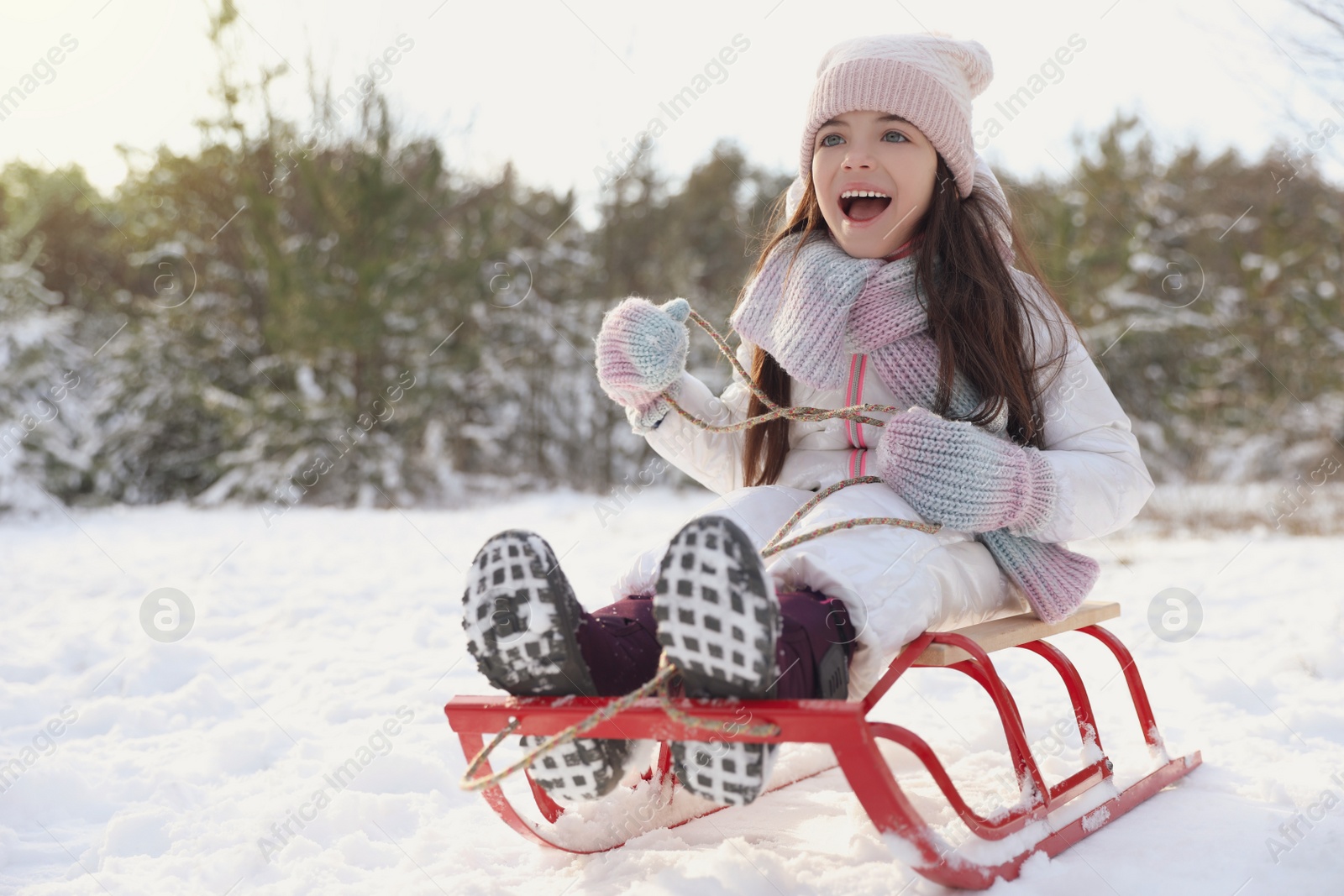 Photo of Cute little girl enjoying sleigh ride outdoors on winter day