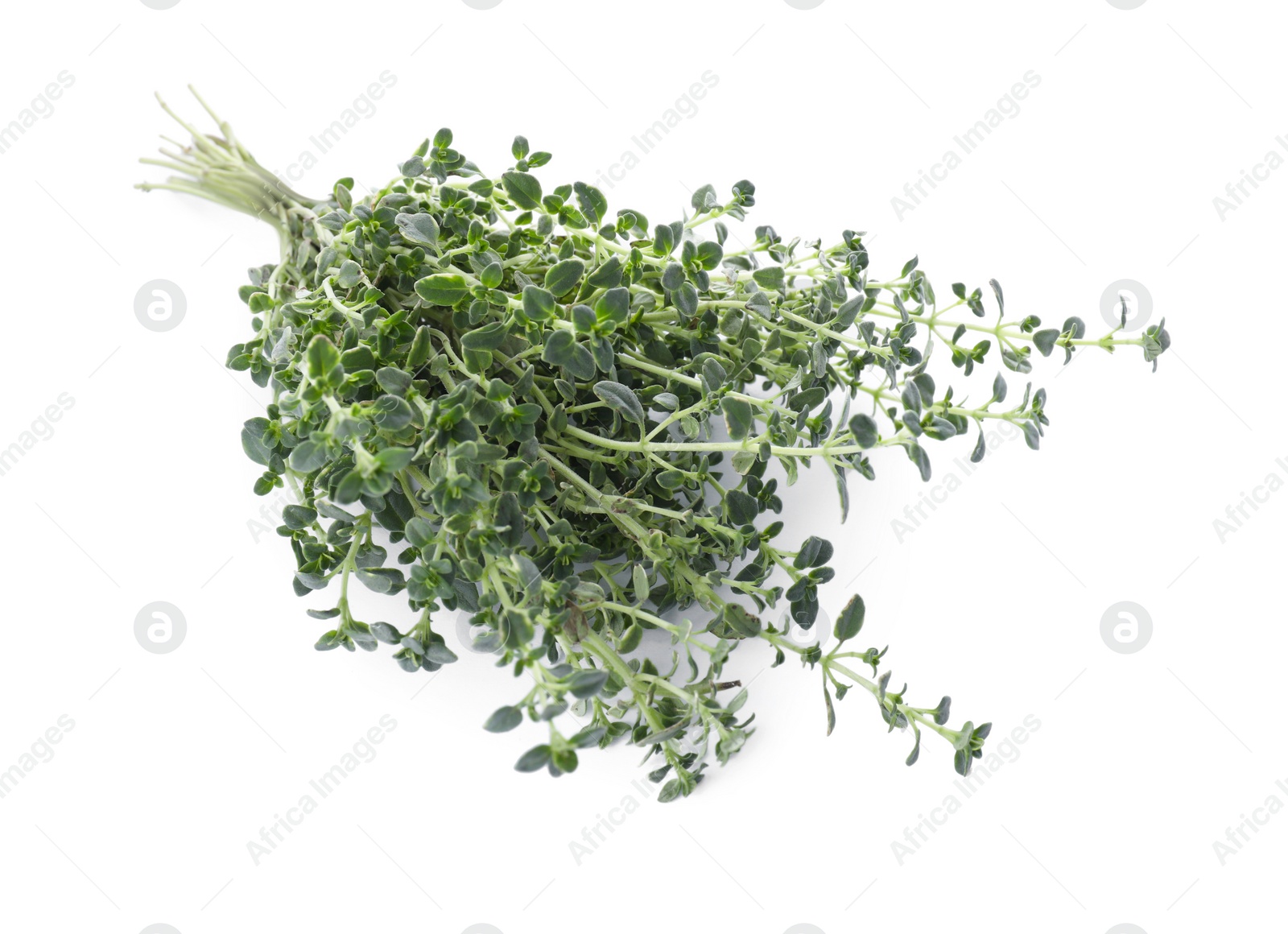 Photo of Bunch of aromatic thyme isolated on white. Fresh herb