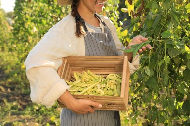 Photo of Young woman harvesting fresh green beans in garden, closeup