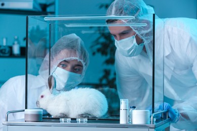 Scientists observing white rabbit in chemical laboratory. Animal testing