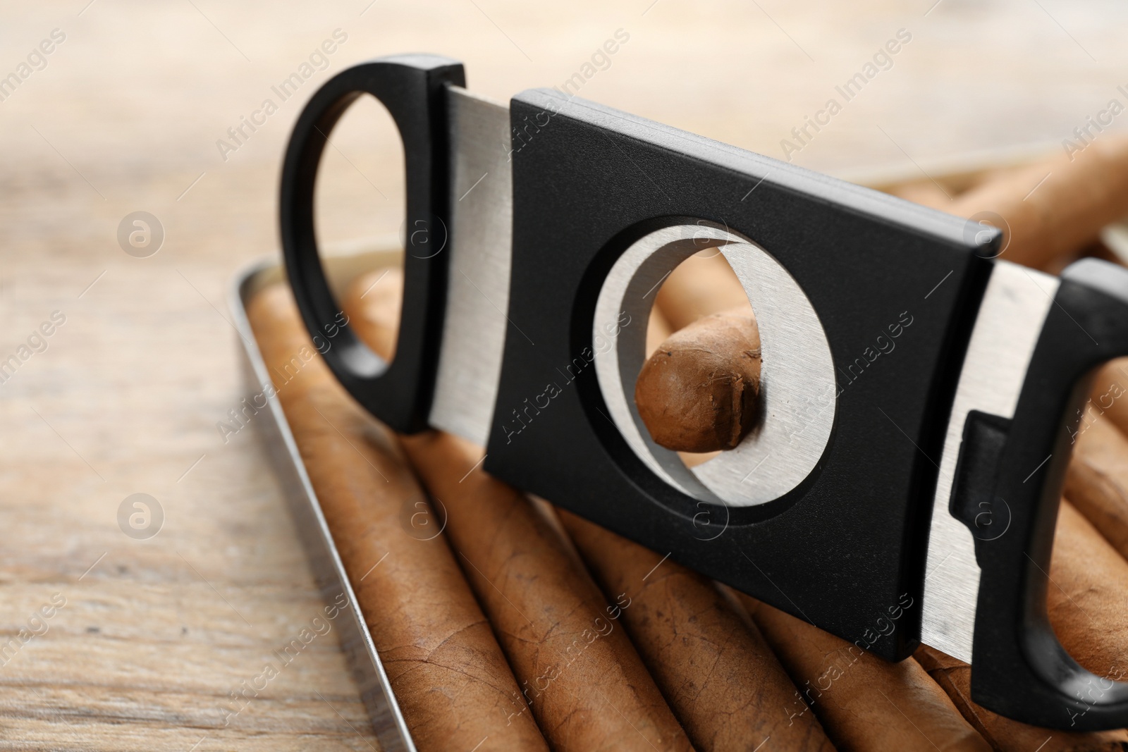 Photo of Box of cigars and guillotine cutter on wooden table, closeup