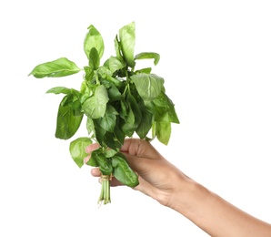 Woman holding basil on white background. Fresh herb