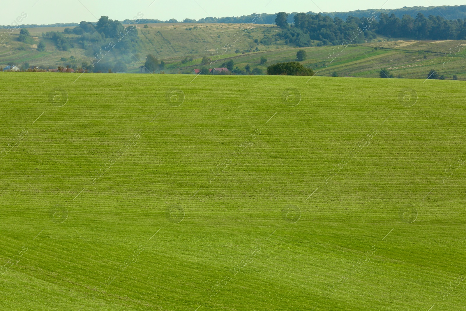 Photo of Beautiful lawn with bright green grass outdoors