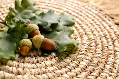 Oak branch with acorns and green leaves on wicker mat, space for text
