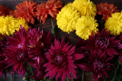 Photo of Flat lay composition with different beautiful chrysanthemum flowers on wooden table