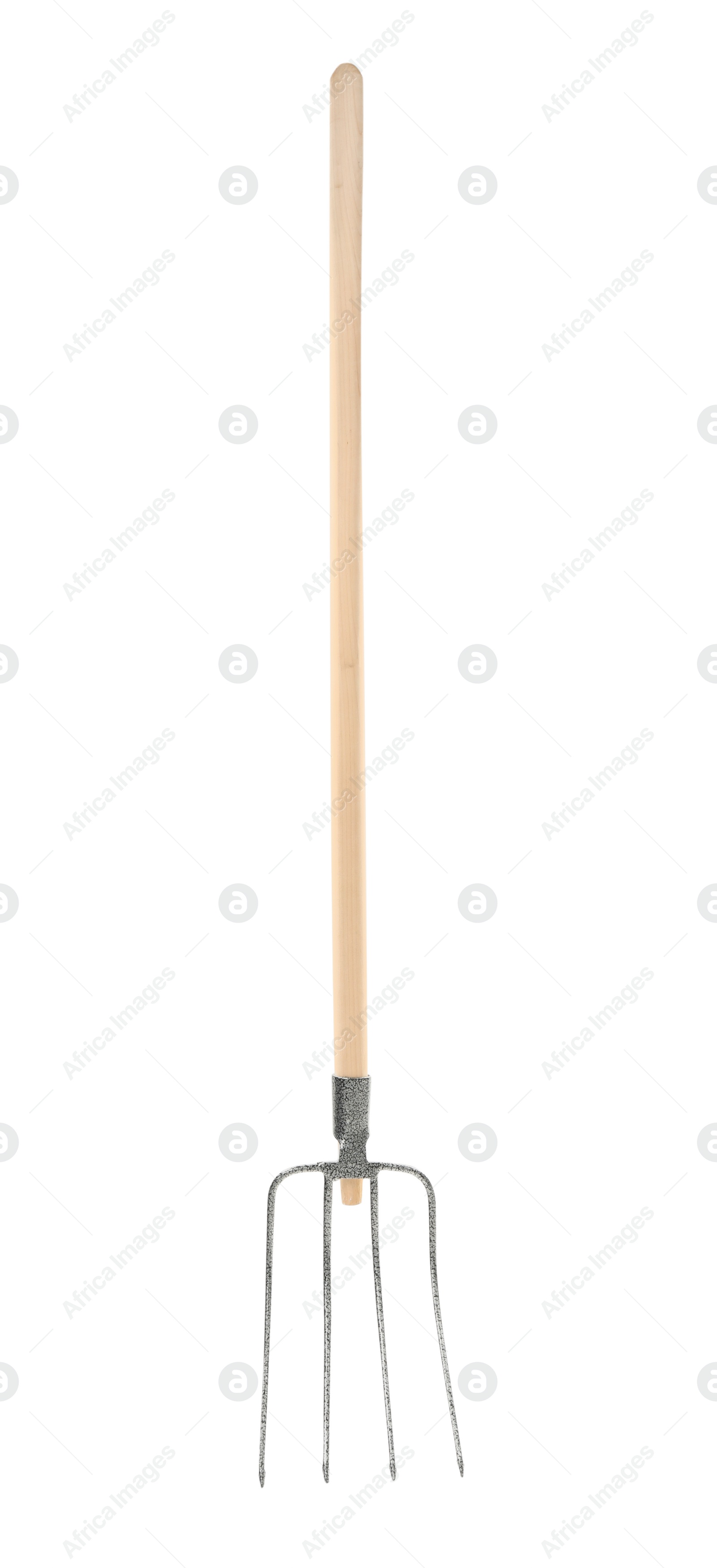 Photo of Modern pitchfork isolated on white. Gardening tool