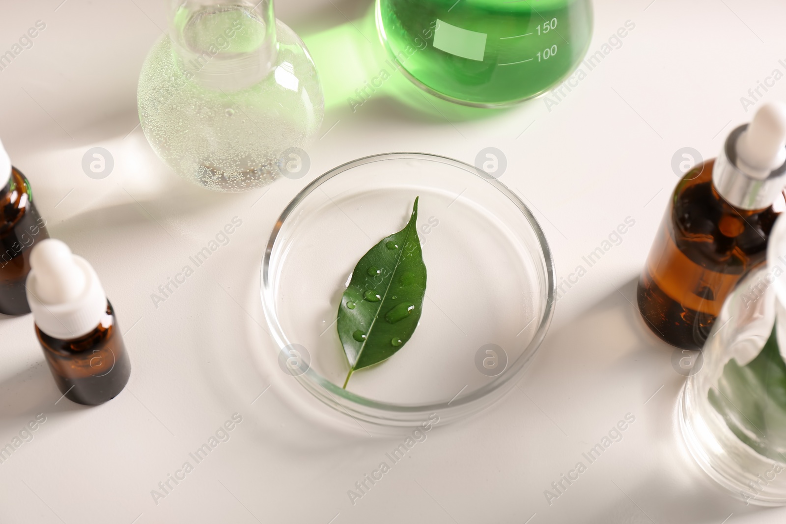 Photo of Skin care products, ingredients and laboratory glassware on white background. Dermatology research