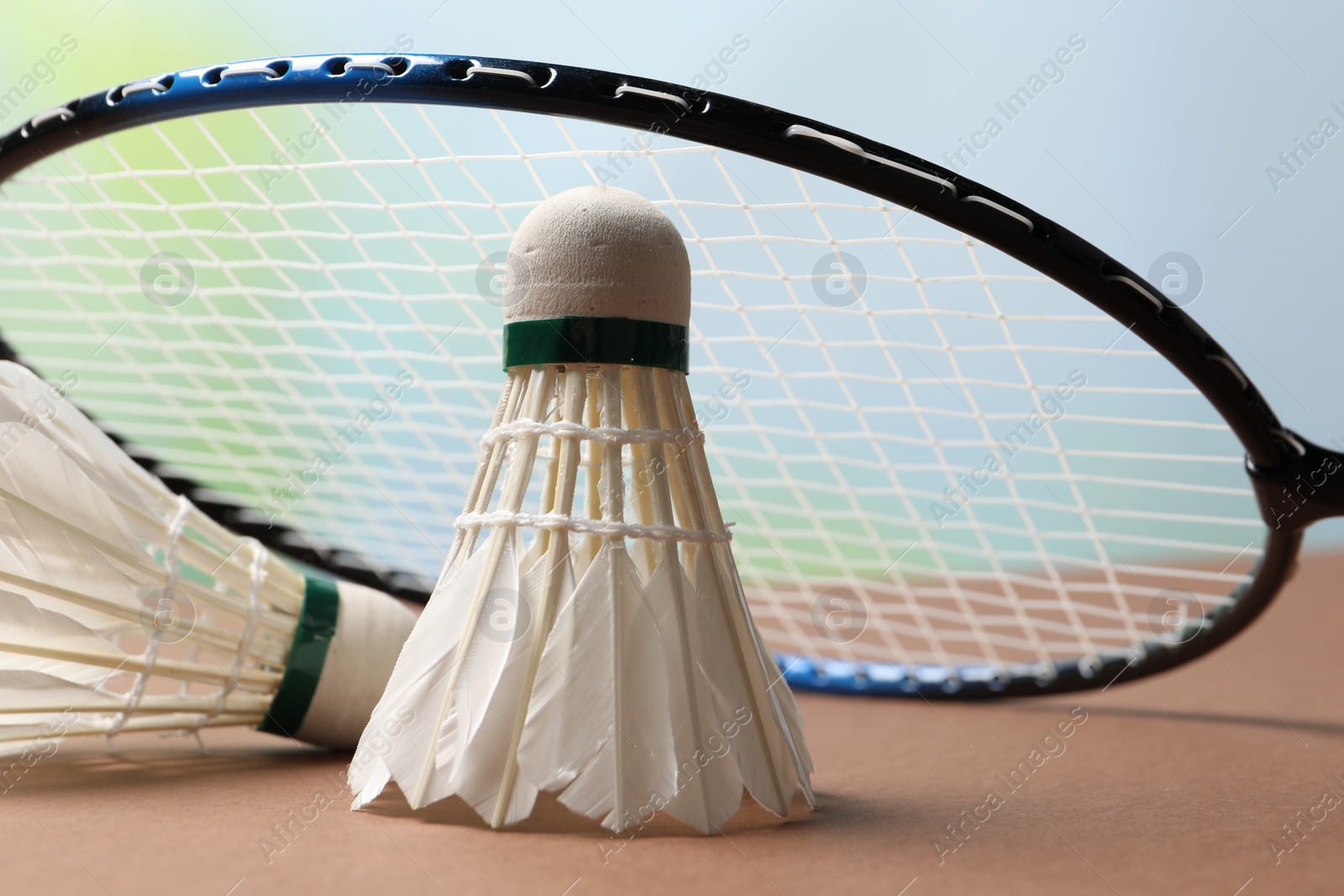 Photo of Feather badminton shuttlecocks and racket on court, closeup