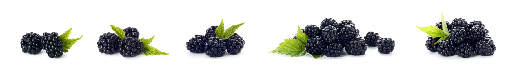 Image of Set of ripe blackberries on white background. Banner design