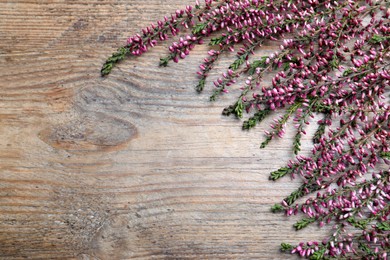 Heather branches with beautiful flowers on wooden table, flat lay. Space for text