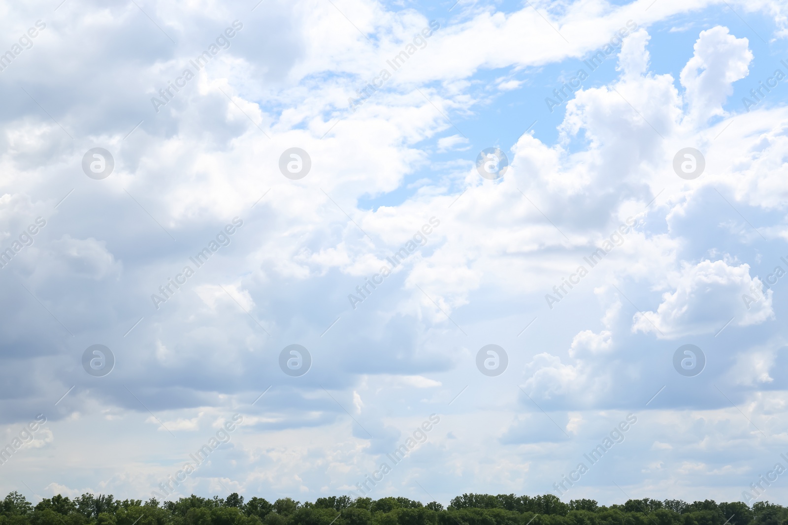 Photo of Picturesque view of trees and blue sky with fluffy clouds