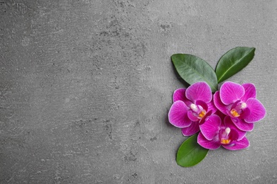 Photo of Flat lay composition with beautiful orchid flowers on grey stone background. Space for text