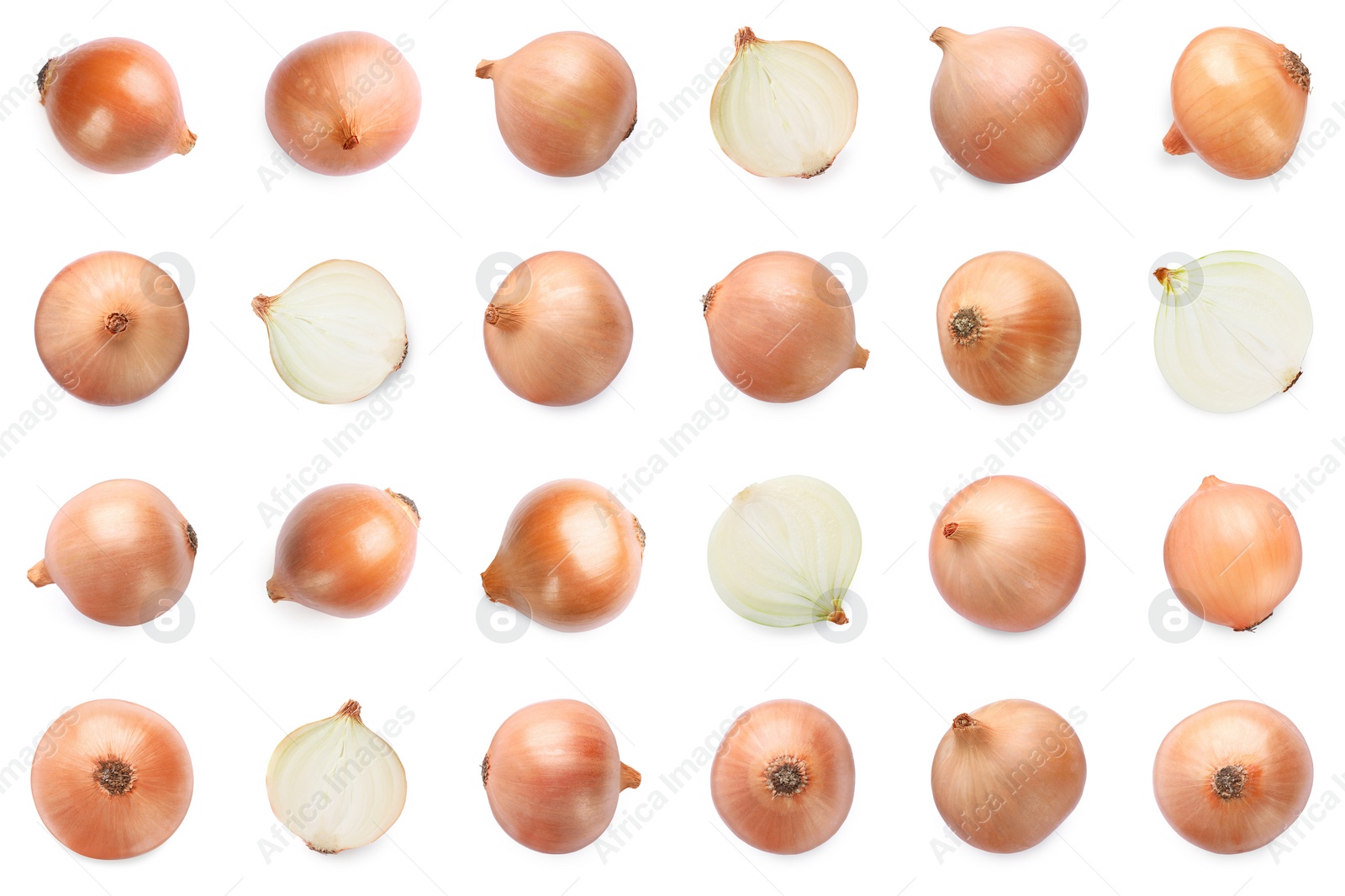 Image of Collage with fresh onions on white background