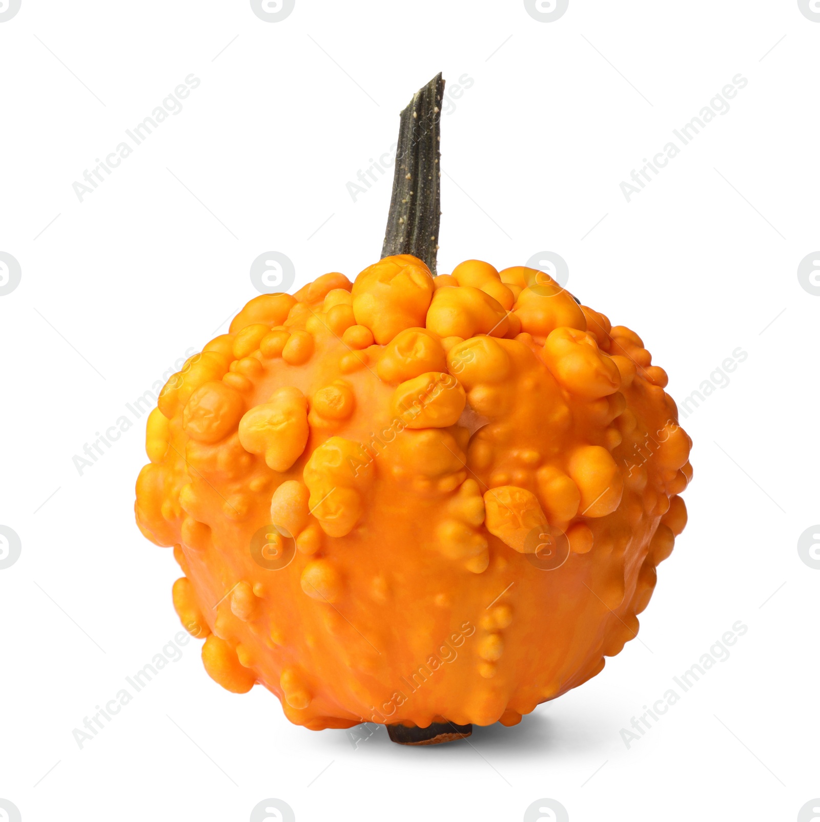 Photo of One whole ripe pumpkin isolated on white