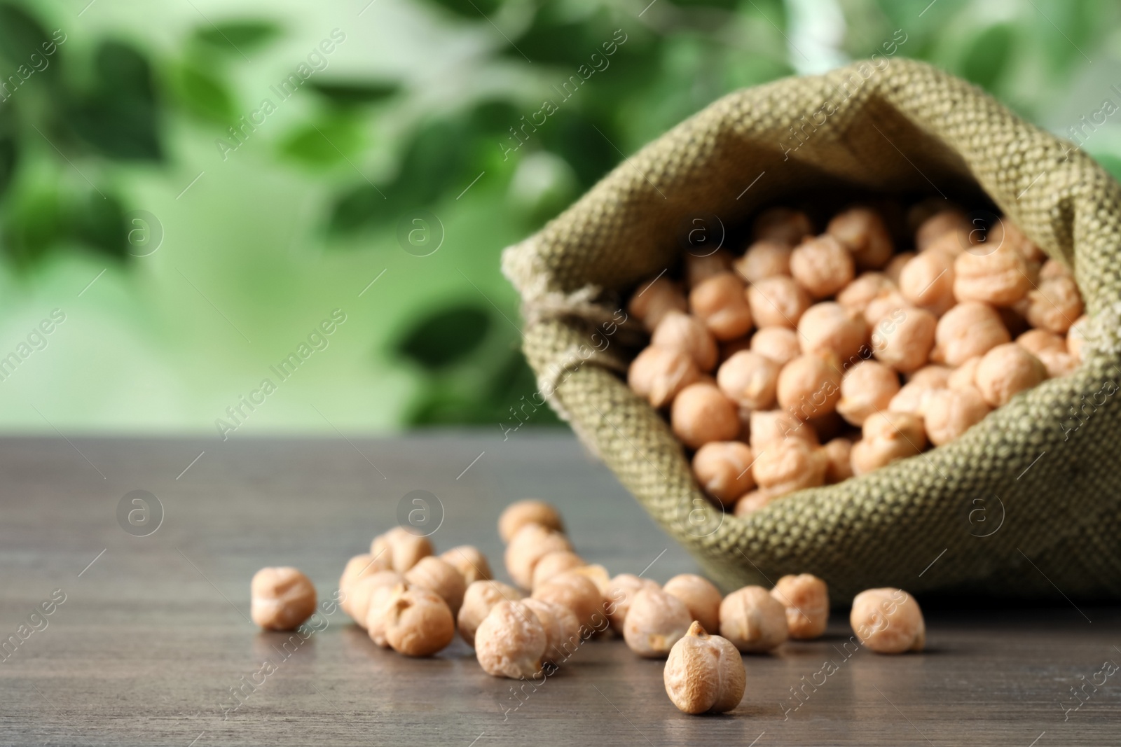 Photo of Raw chickpeas in bag on wooden table, closeup. Space for text