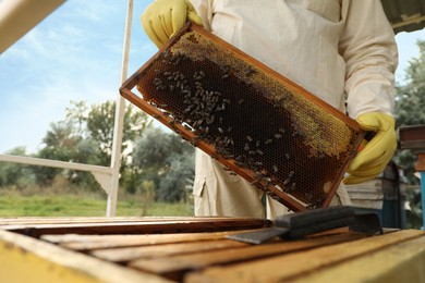 Beekeeper in uniform with honey frame at apiary, closeup