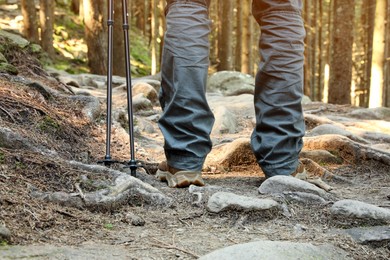 Hiker with trekking poles in mountain forest, closeup