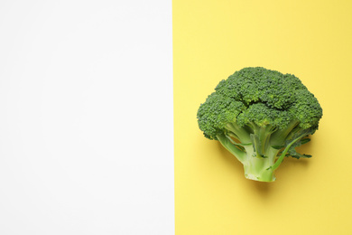 Photo of Fresh tasty broccoli on color background, top view. Space for text