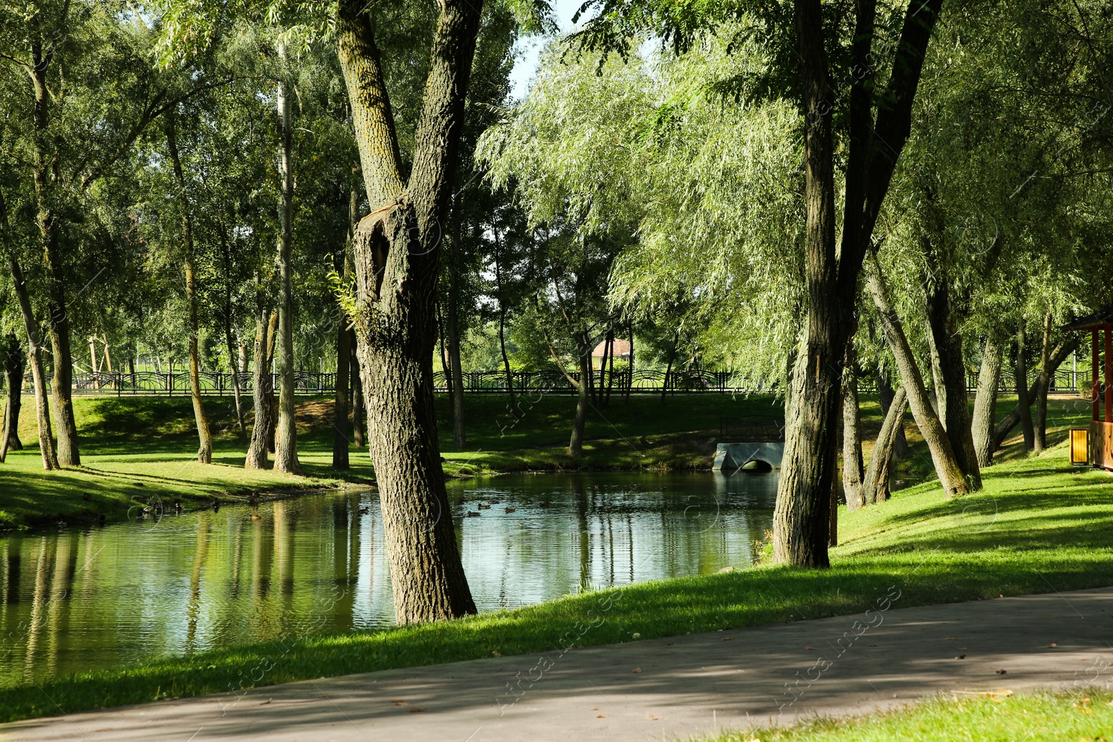 Photo of Quiet park with green trees and pond on sunny day