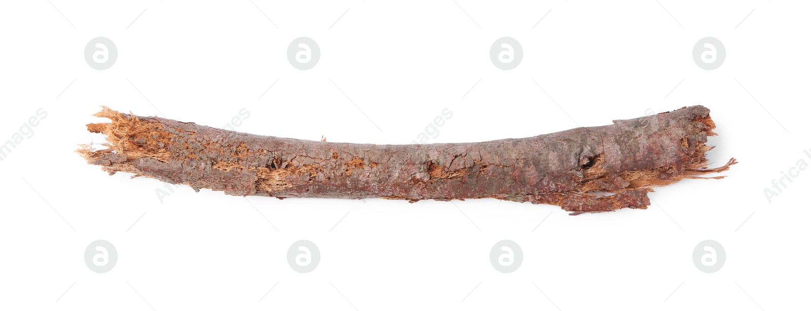 Photo of Tree bark piece isolated on white, top view