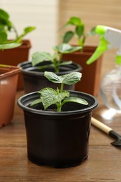 Seedlings growing in plastic containers with soil on wooden table