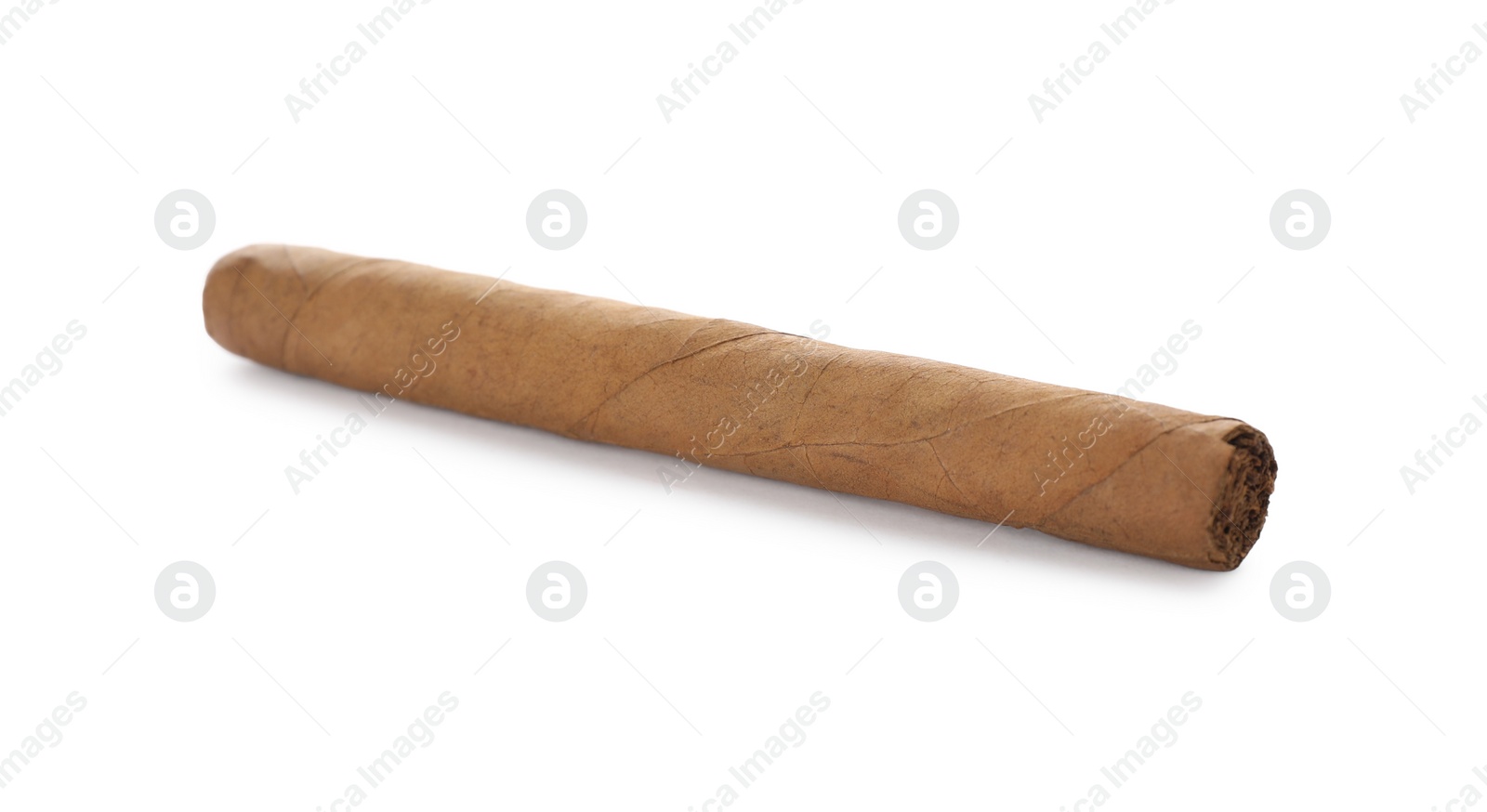 Photo of Cigar wrapped in tobacco leaf isolated on white