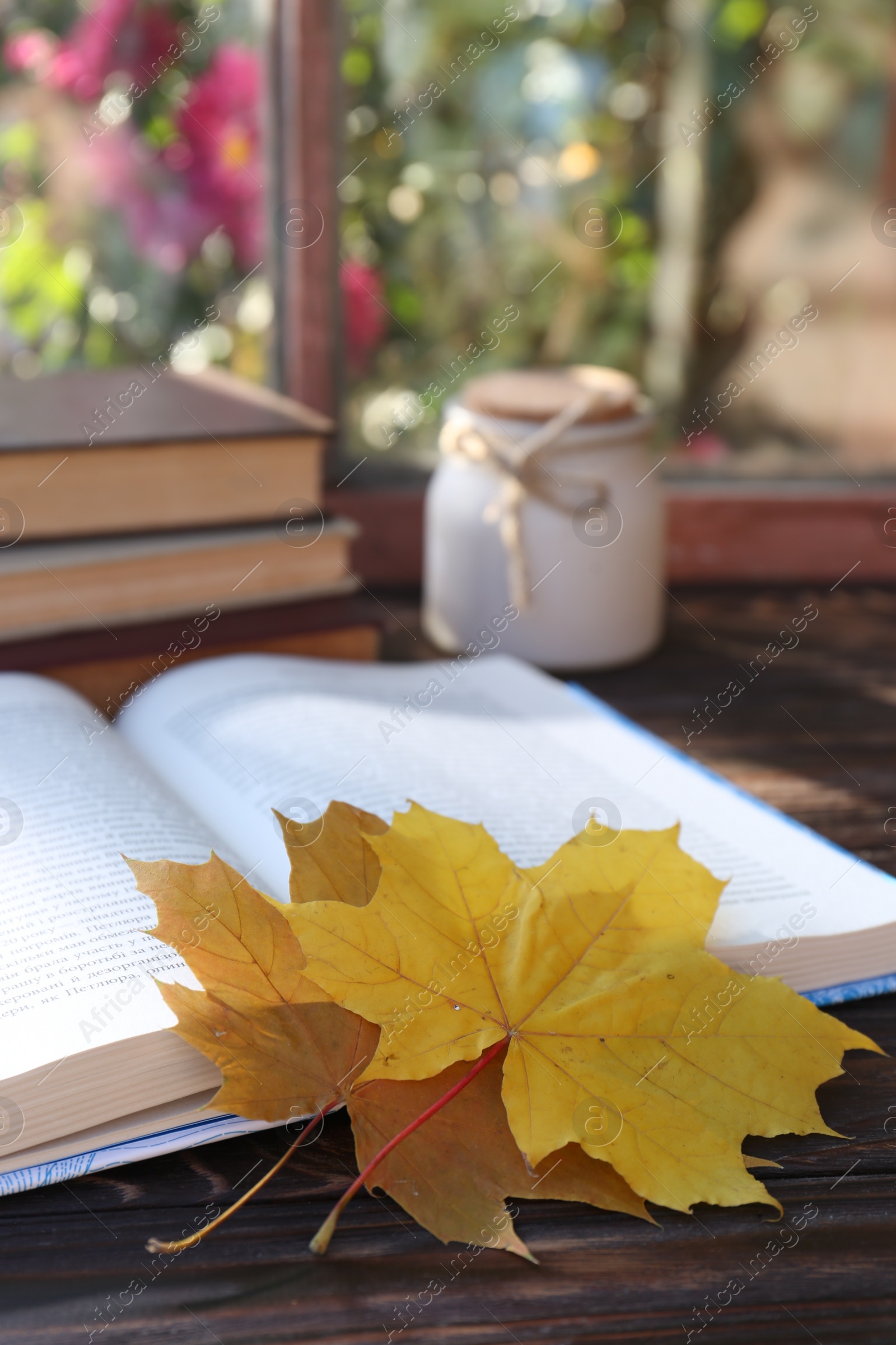 Photo of Books, candle and beautiful leaves as bookmark on wooden table