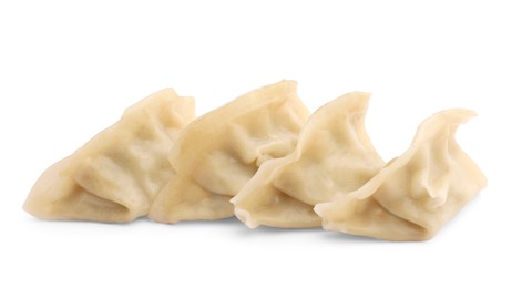 Delicious gyoza (asian dumplings) isolated on white